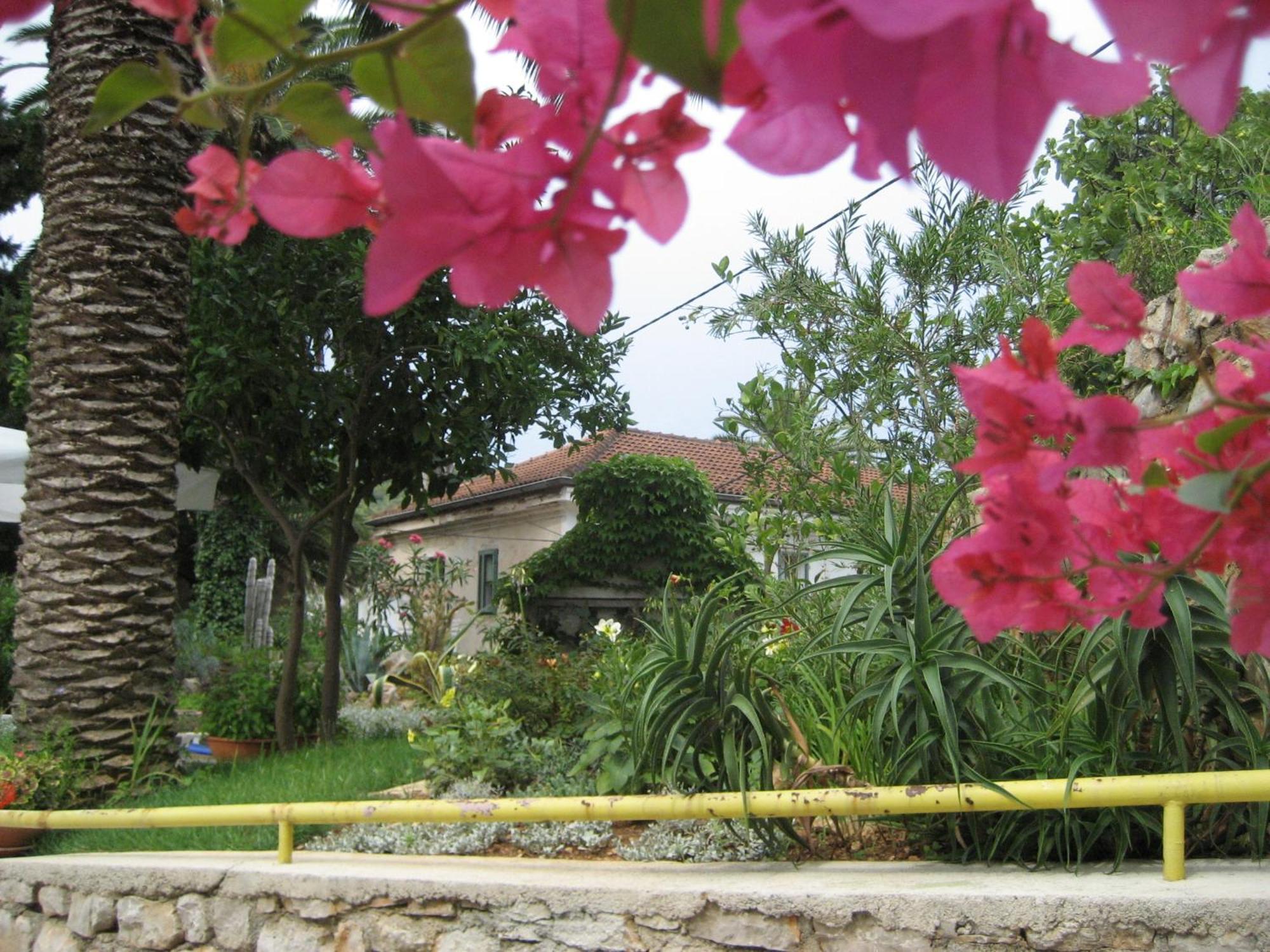 Apartments Veli Lošinj Exteriör bild